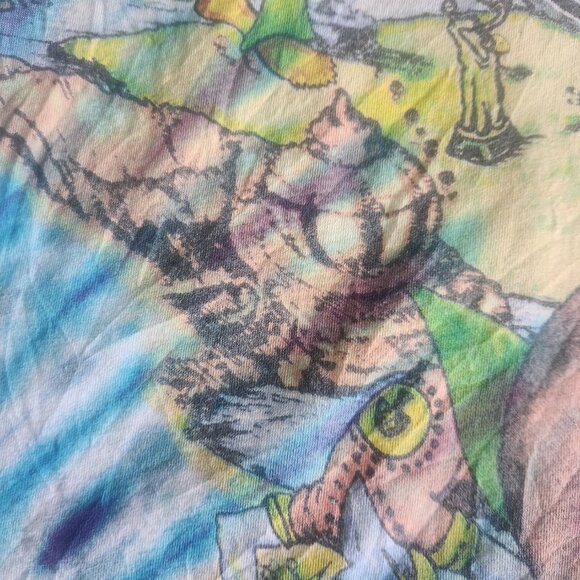 Vintage Allman Brothers Band T-shirt 1995 Tour Size XL Wild Oats All Over Print - Picture 11 of 16